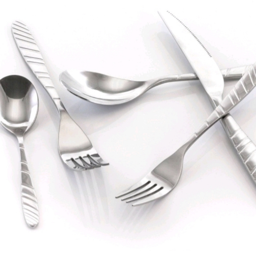20 Piece Stainless Steel Silverware Set